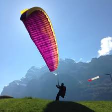 Parapente Advance Alpha 5 : Vends parapente advance alpha 5 -31 / catégorie EN A. Vends parapente advance alpha 5 -31 / catégorie EN A