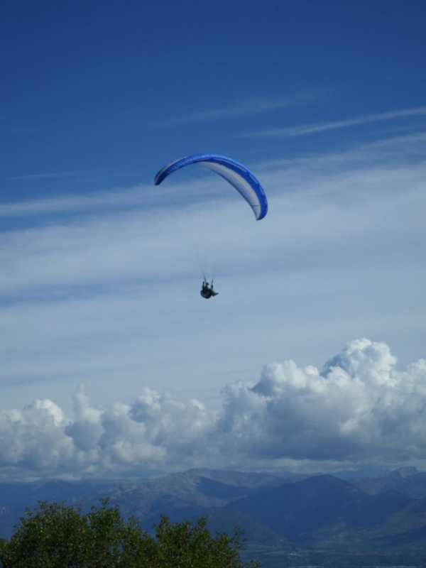 Parapente Airwave Mustang : Airwave Mustang M a Vendre. Airwave Mustang M a Vendre