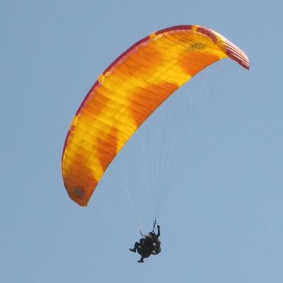 icaro parus 35.5