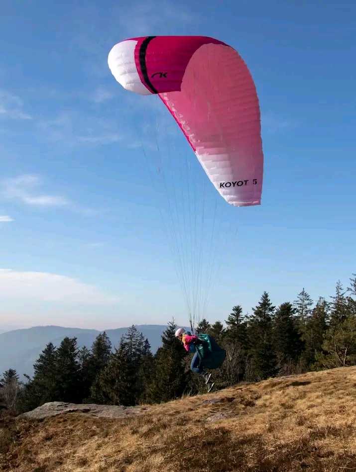 Pack complet de parapente KOYOT 5 24m